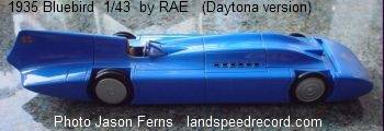 Blue Bird Daytona