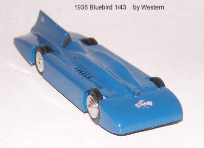 Western Blue Bird